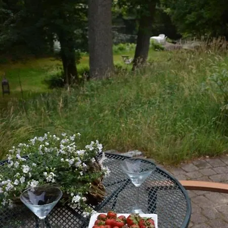 Апартаменты Am In